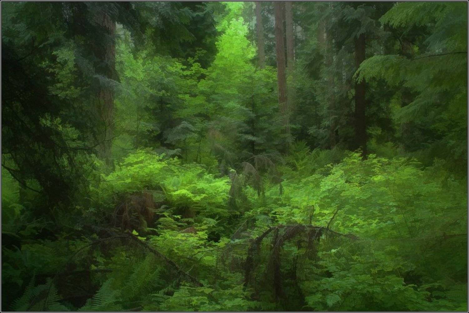 , Alexandre Michourovskii