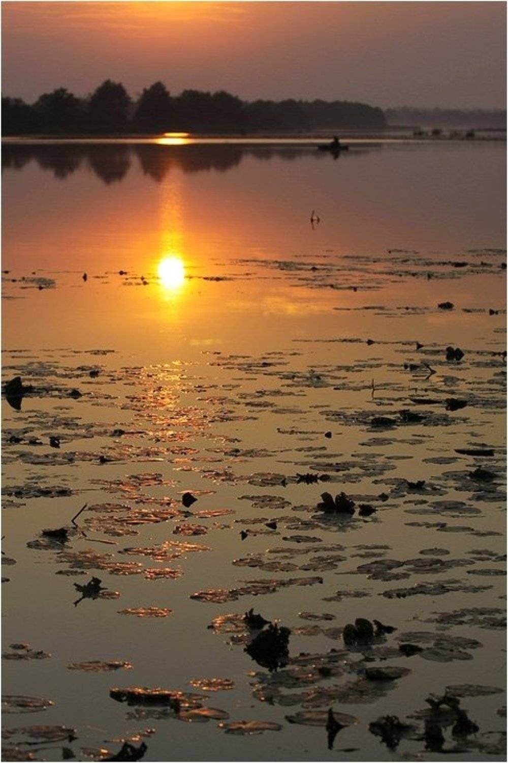 За золотым карасём. Автор: Степанов Сергей озеро, грязное, башкирия, Степанов Сергей