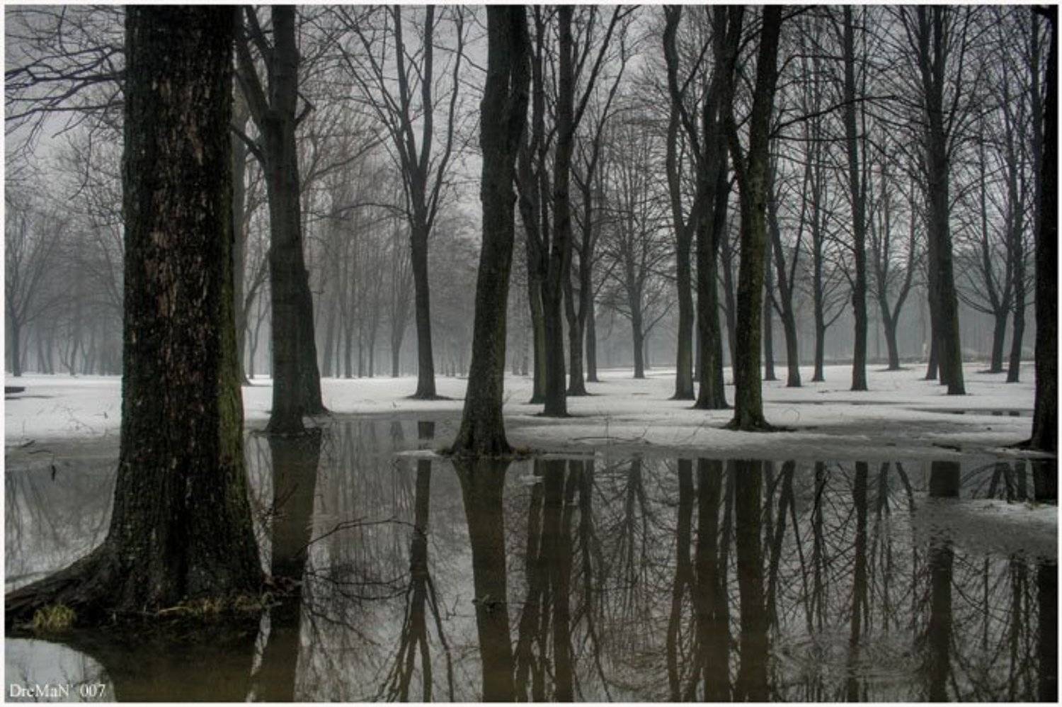 Автор: Васильев Андрей , Васильев Андрей