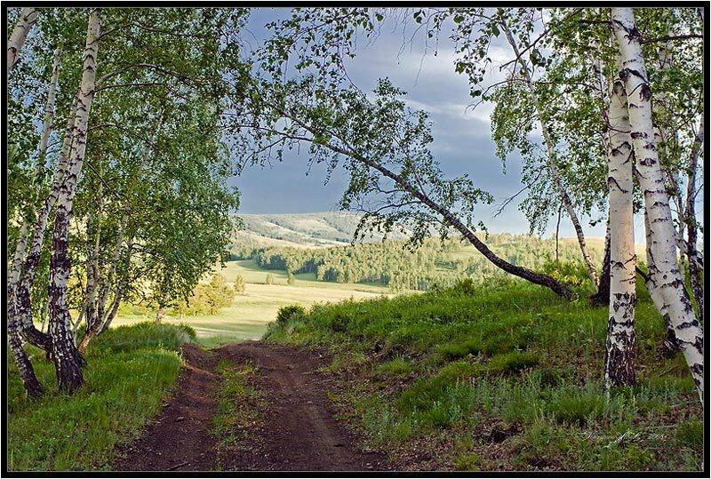 Дорога к долине.. Автор: Качурин Алексей лес,дорога,пейзаж,лето, Качурин Алексей