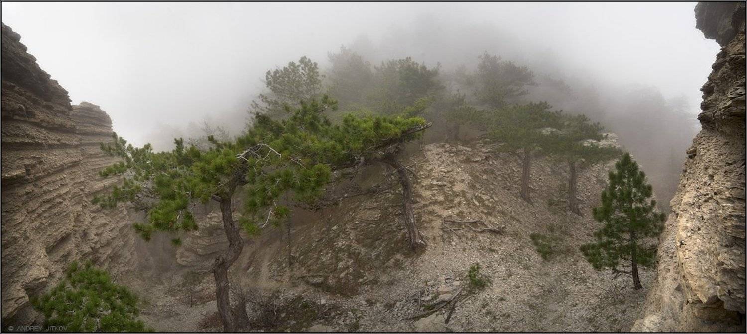 крым, таракташ, пейзаж, туман, весна, Андрей Житков