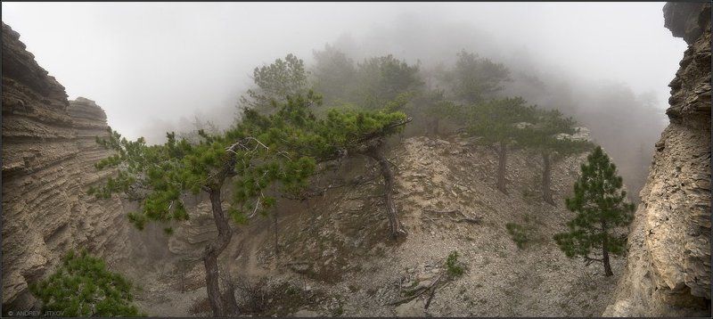 крым, таракташ, пейзаж, туман, весна Туманный Таракташ #4photo preview