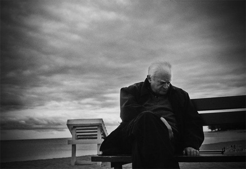 шахматный деньphoto preview