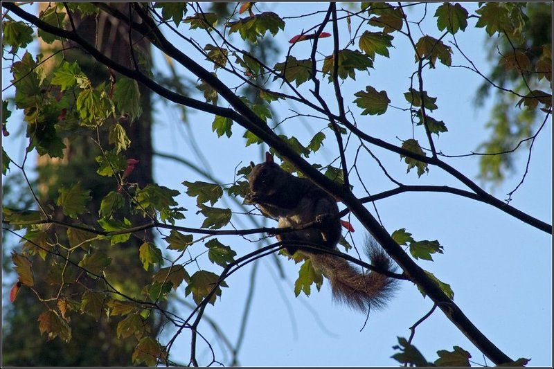 И стол, и домphoto preview