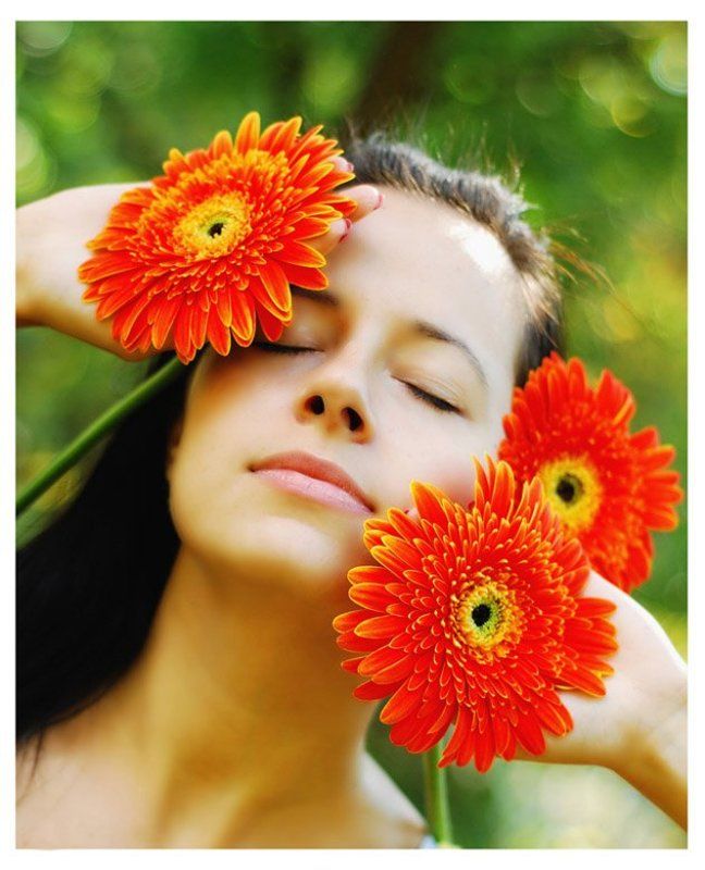 герберы, осень, тепло нежное прикосновение осени.....photo preview