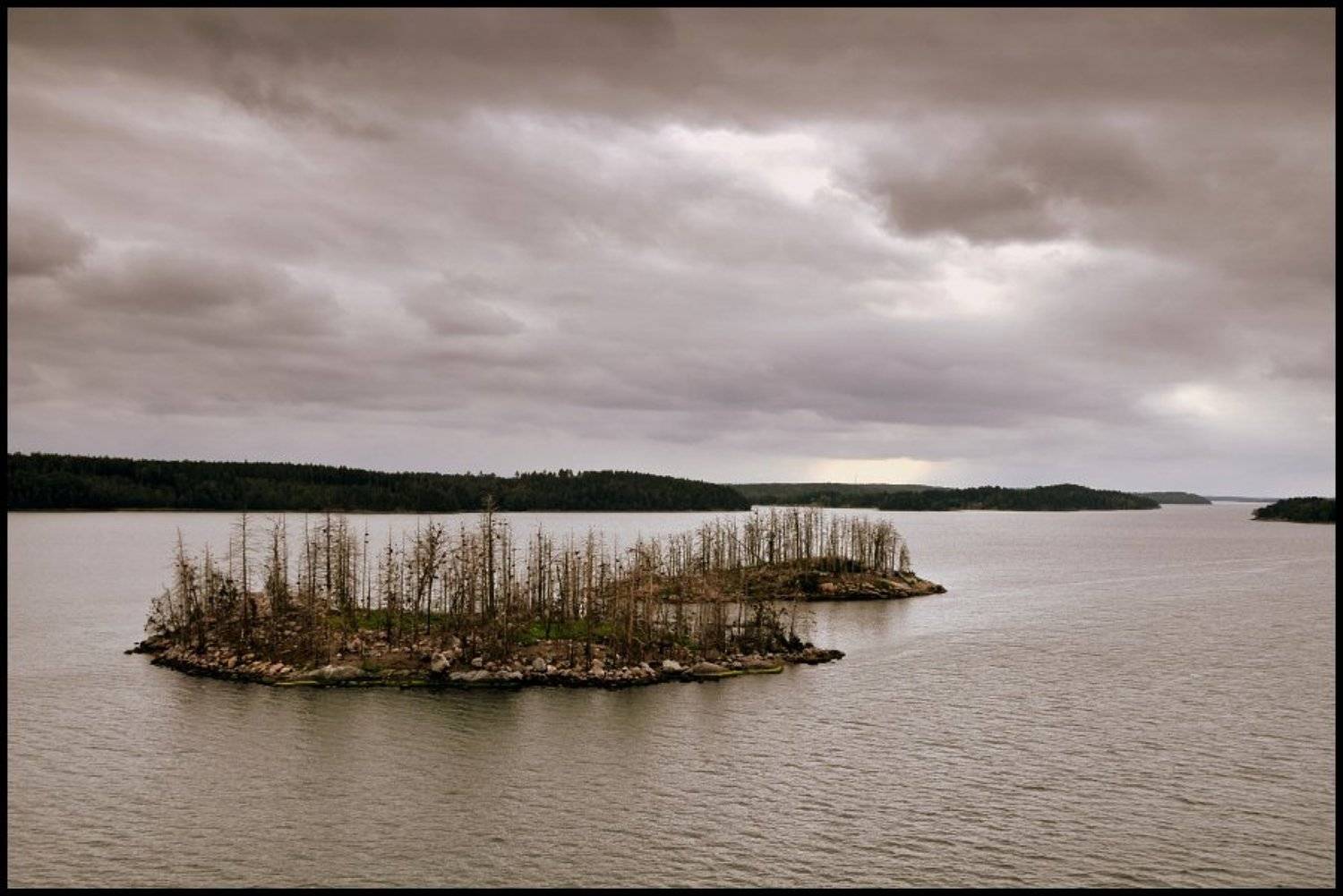 Обосрыши.... Автор: Cairns (Павел Васильев) , Cairns (Павел Васильев)