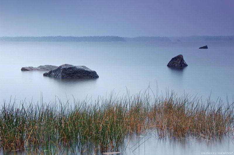 Фиолетовая безмятежностьphoto preview