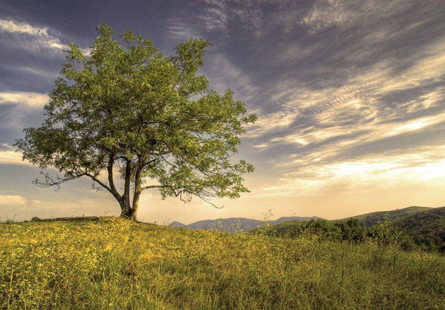 Здесь суета сует решила отдохнуть.... Автор: Екатерина (PhotoJourneys.ru) Васягина , Екатерина (PhotoJourneys.ru) Васягина