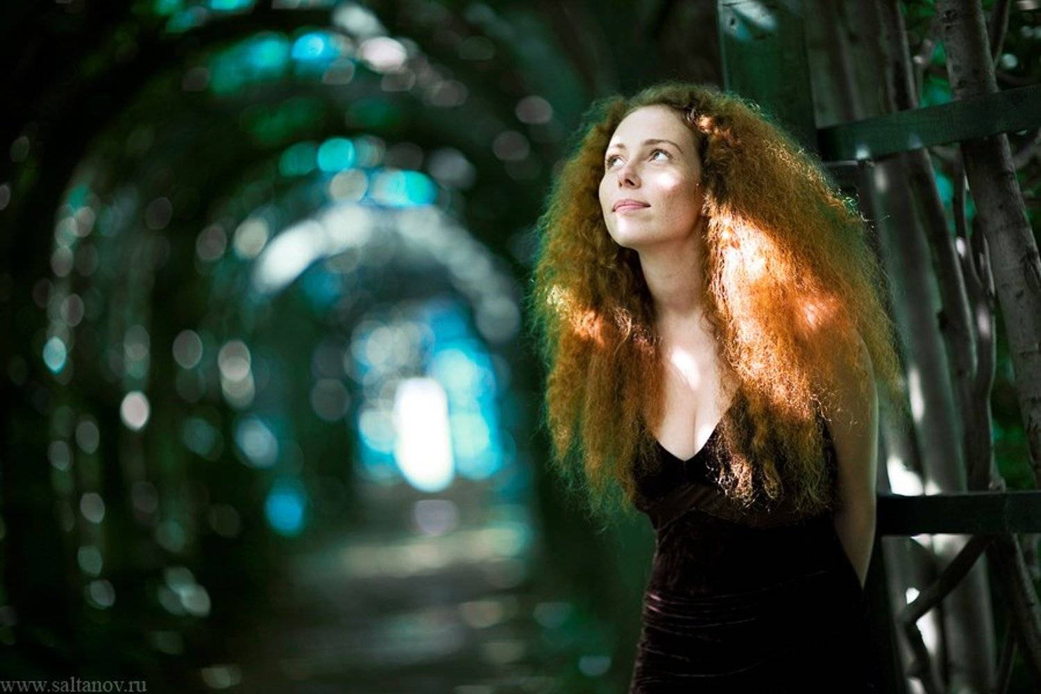 , Антон Салтанов