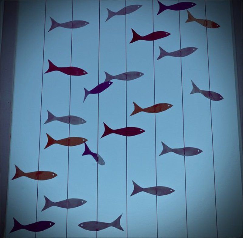 6х6, море, рыбы, сны photo preview