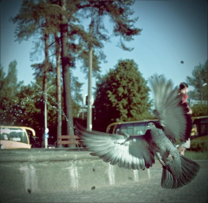 6х6, сны photo preview