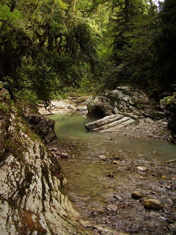 водопад, лес, сочи, каньон псахо Каньон Псахоphoto preview