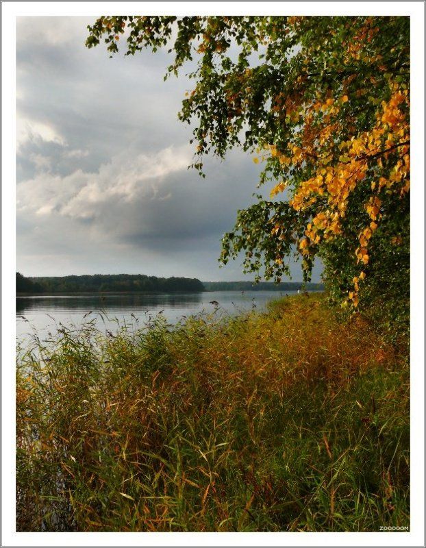 вуокса,осень Вот и осень наступила...photo preview