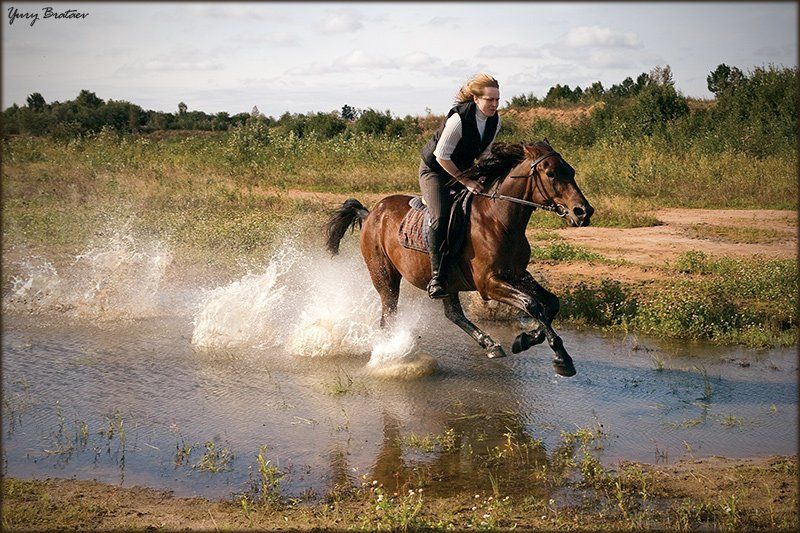 чарли, осень, катя photo preview