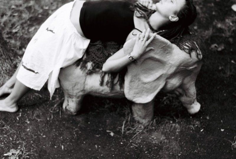 зоркий4к, слон, сны, сказка photo preview