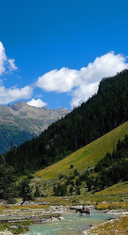 *** фото превью