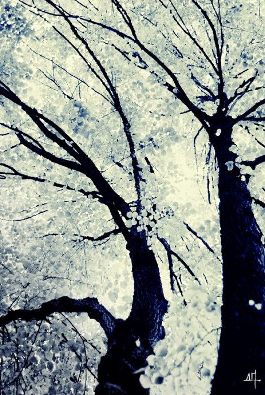 Up highphoto preview