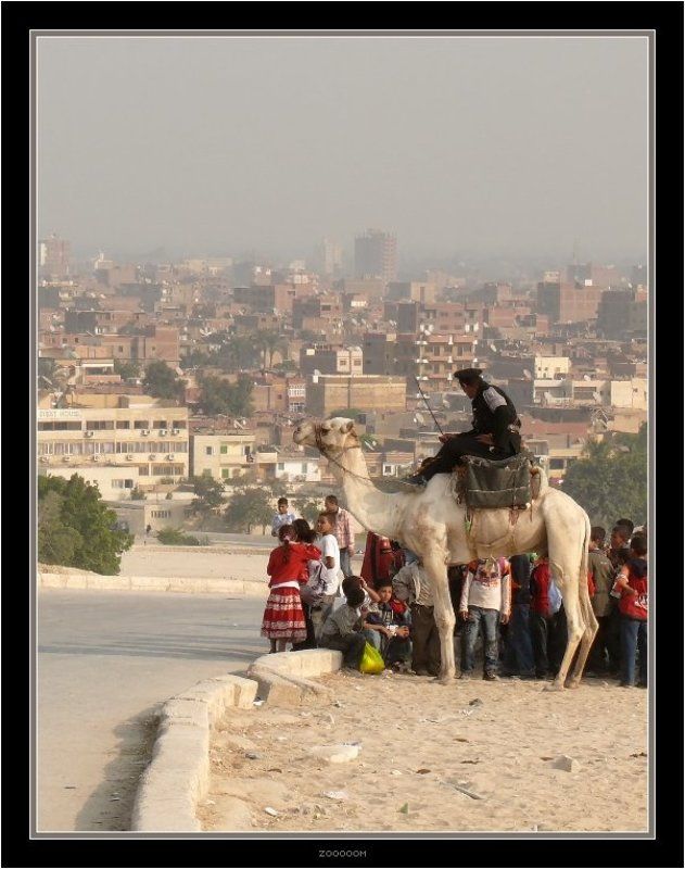 египет,гиза Взгляд на Гизуphoto preview