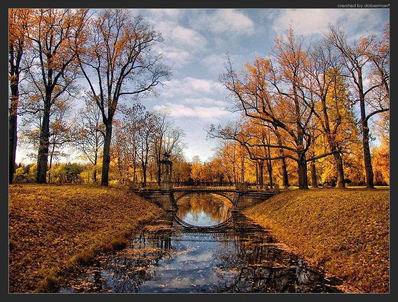 Старый паркphoto preview