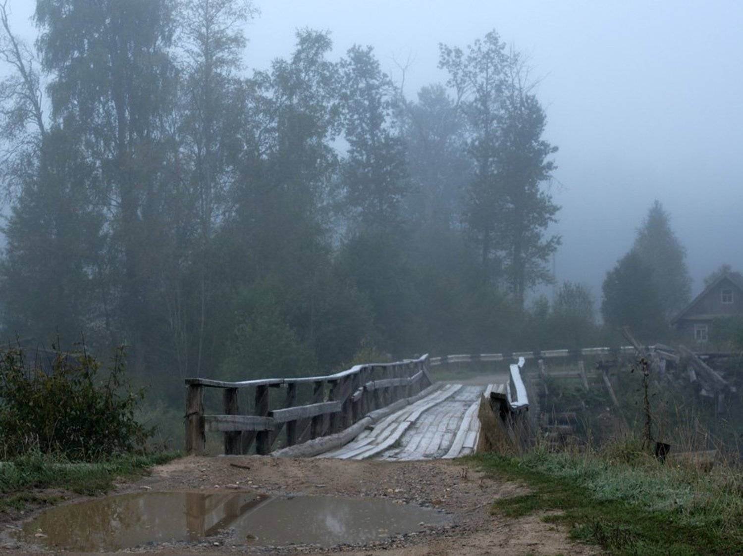 , Павел Дунюшкин