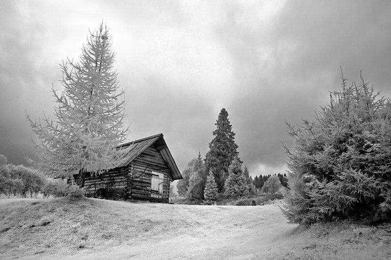 Банькаphoto preview