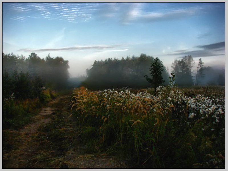 с, добрым, утром, !!! photo preview