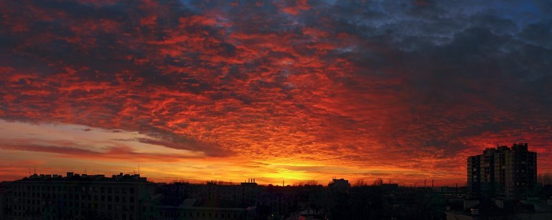 Обратная тягаphoto preview