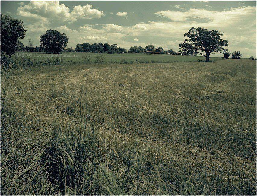 пейзаж, пленка, 120 film, fujicolor nps, средний формат, medium format, bronica etr, pilgrim, Pilgrim