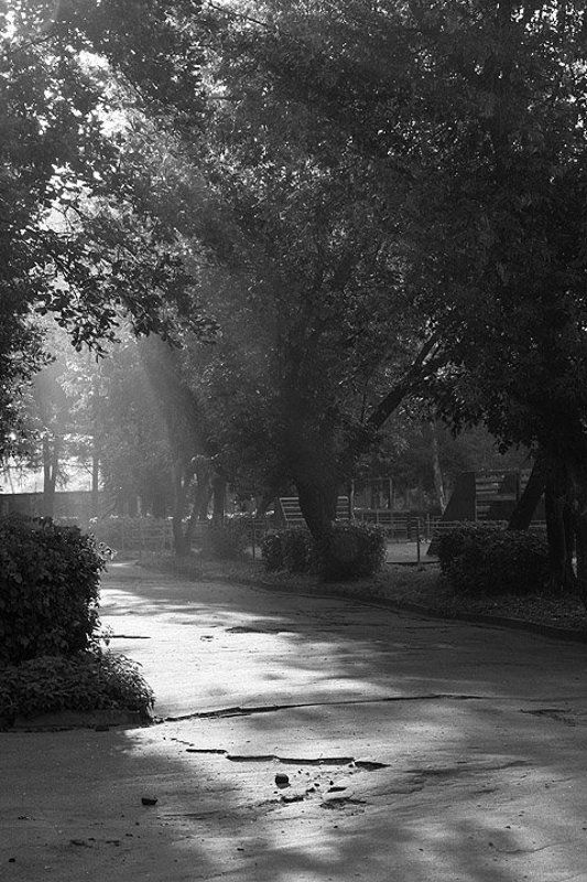 осеннее утро, рыбинск Осеннее утроphoto preview