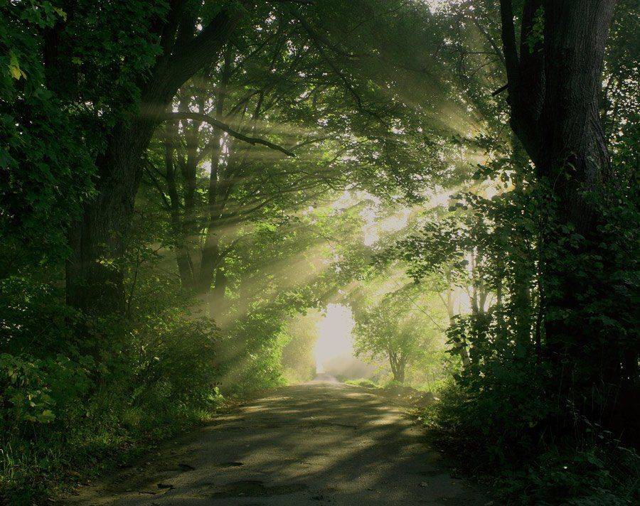 Автор: Павел Дунюшкин , Павел Дунюшкин