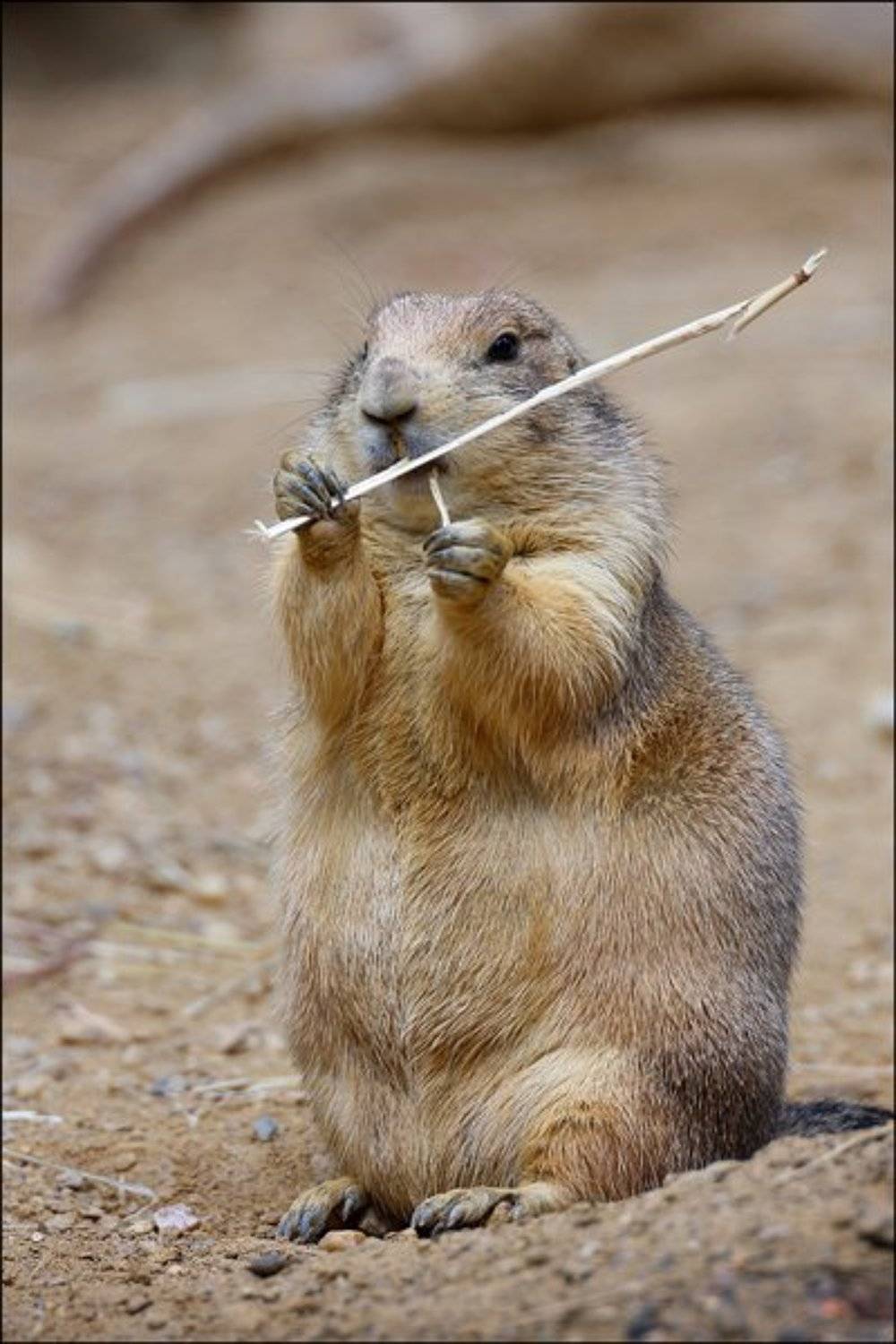 , Байдалов Павел