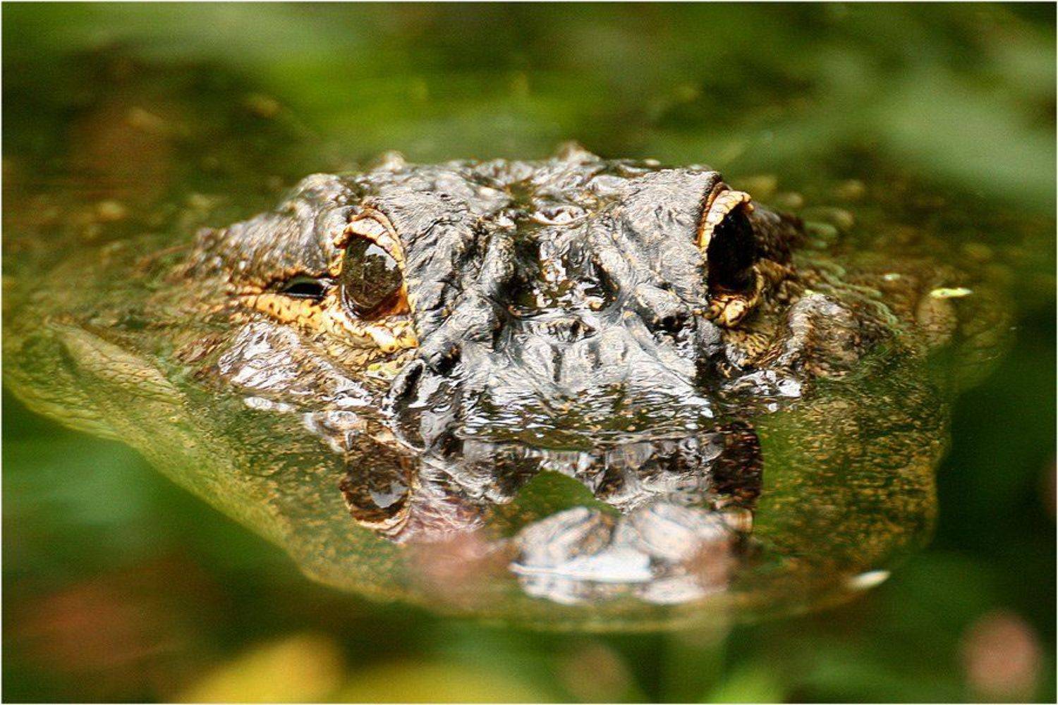 , Байдалов Павел