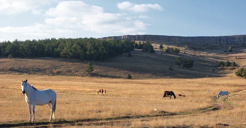 Плато Ай - Петриphoto preview