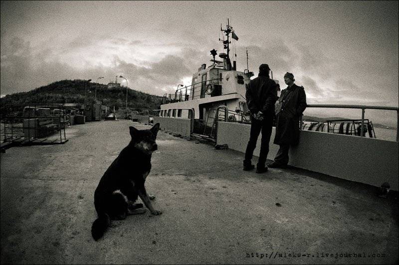 мурманск, Александр Рогачёв