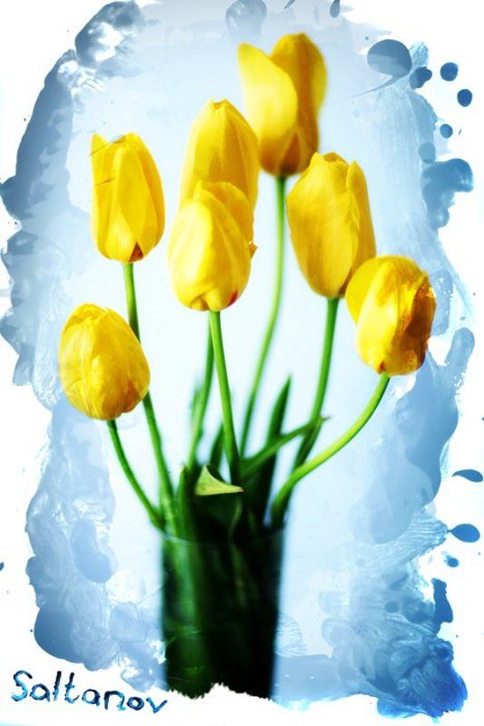 Тюльпаны.photo preview