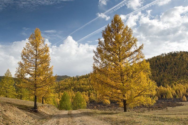 бурятия, осень Часовыеphoto preview