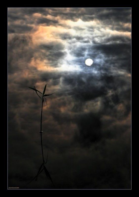 вуокса Хоккуphoto preview