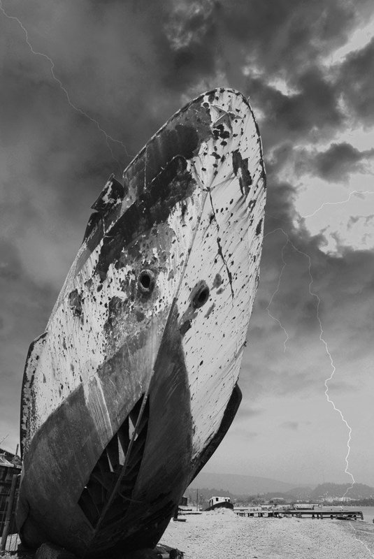 Стальная акулаphoto preview