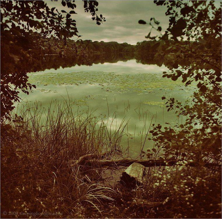 Last day of summer.... Автор: Pilgrim пейзаж, пленка, 120 film, средний формат, medium format, 6x6, киев-60, pilgrim, Pilgrim