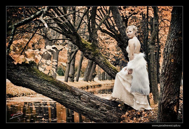 парад, невест, санкт-петербург, 2008 * * * *photo preview