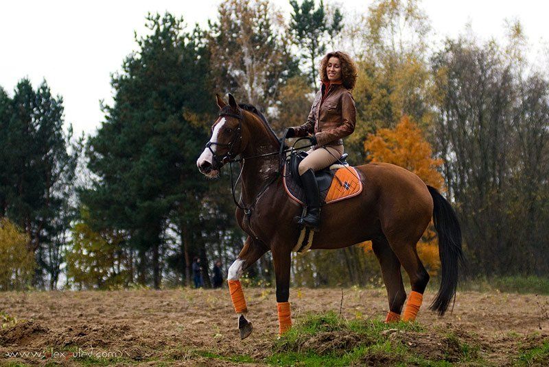лошади,девушка,наездница,амазонка,осень,подмосковье Амазонкаphoto preview