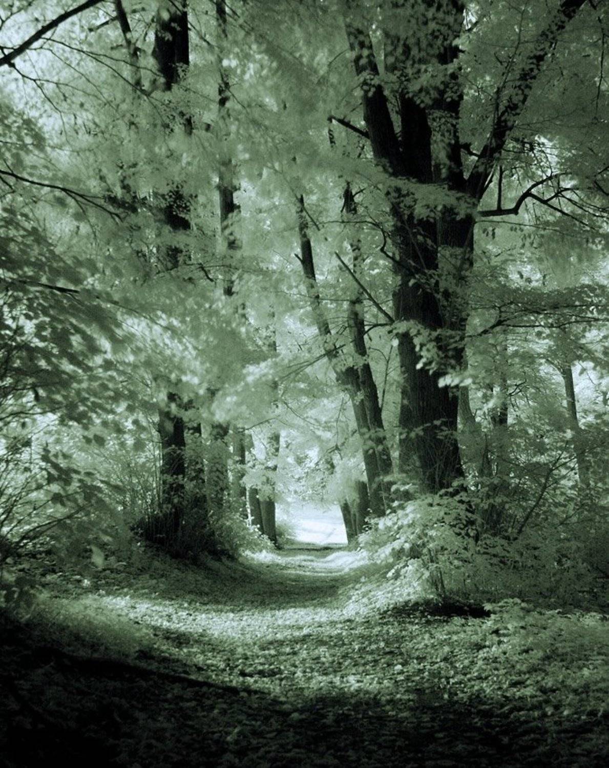 , Павел Дунюшкин