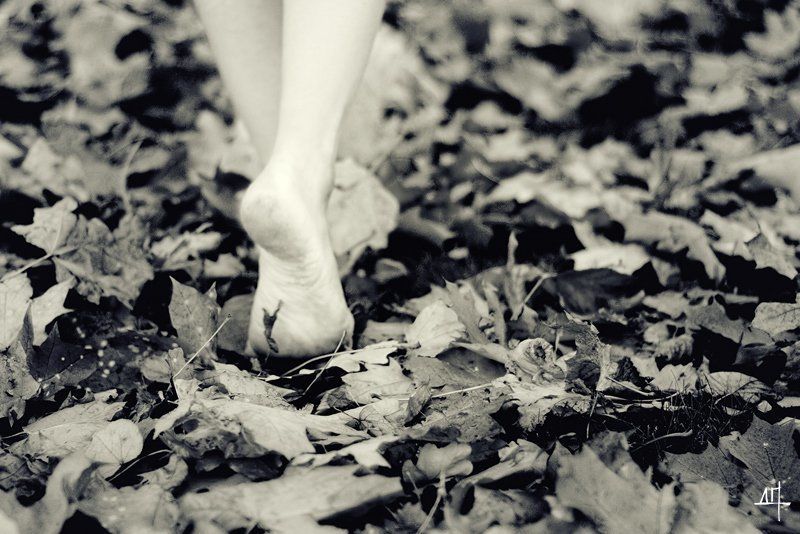 Слов моих сухие листья...photo preview