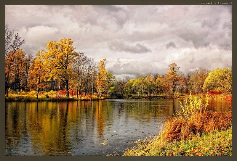 Мороситphoto preview