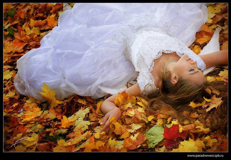 * * * *photo preview