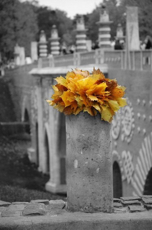 Осенний пейзажphoto preview