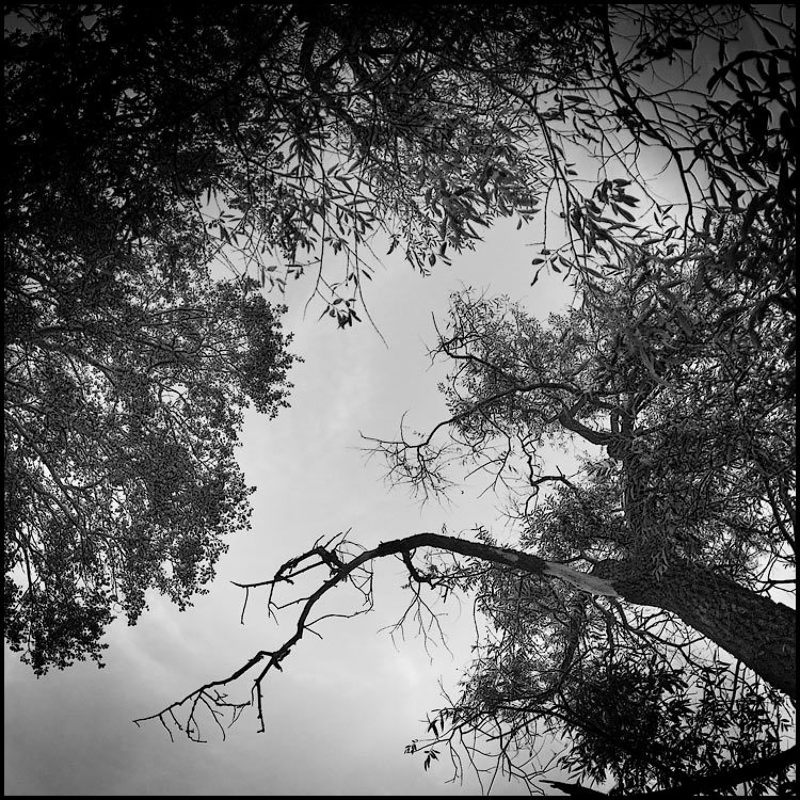 Живые и мертвыеphoto preview