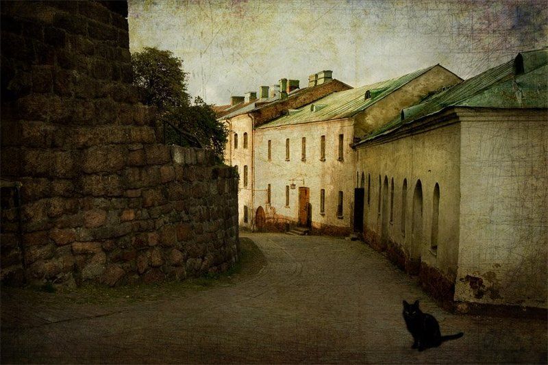 Кот на старой улице...photo preview