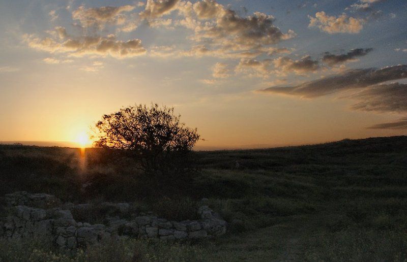 последний , луч *photo preview