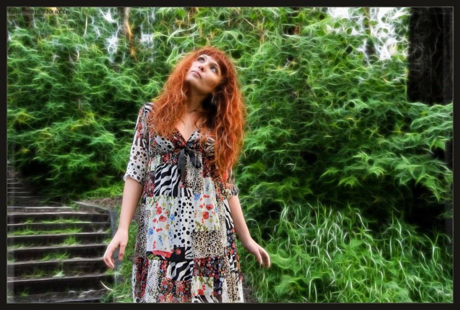 в сказке. Автор: Антон Шкарин сказка, Антон Шкарин